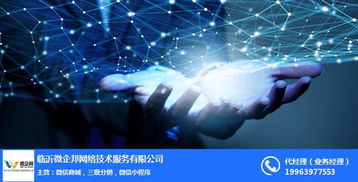 微盟城系统与微企邦网络销售 河东区城网络服务咨询全攻略